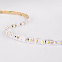 Bande LED OEM 24V 2835 120 LED/m 5mm 3000K Blanc Chaud Ra80 IP20 Télécommande Dimmable Longueur Personnalisée Rouleau de 5m