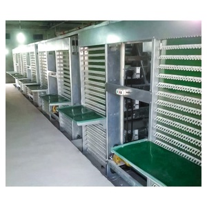 Zhuoyi A-Tipi 3/4 Katlı Tavuk Kafesi Yeni PVC+ABS Malzeme Otomatik Sistem 96/120/120/160 Kuş Kapasiteli Alt Yumurta Uzunluğu - Product Image 5