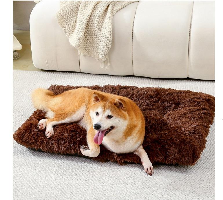 ช็อกโกแลต