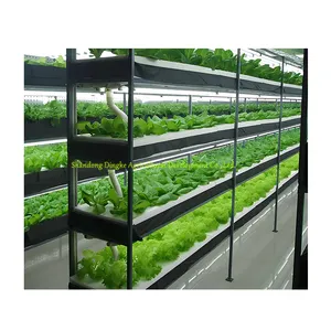 Гидропонная ферма, тепличное растение, завод/контейнер, сельскохозяйственный Тепличный гидропонный корм, контейнер 40 футов