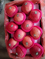 Verse rode Fuji appels groothandel - Premium kwaliteit, concurrerende prijs, export naar China