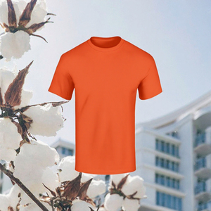 T-shirt à manches courtes col rond pour homme, orange, uni, décontracté, coupe classique, tricoté, 100% coton peigné 220g, écologique - Product Image 3