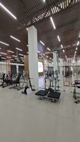 Máquina Combinada de Sentadillas con Cinturón y Dominadas con Carga de Discos, Equipo de Fitness de Calidad Premium Directo de Fábrica a Precio Económico