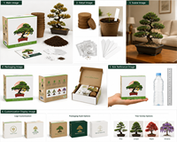 Kit DIY Bonsaï pour Débutants - Utilisation sur Bureau, Pot de Fleurs Écologique Personnalisable avec Disque de Terreau Nutritif