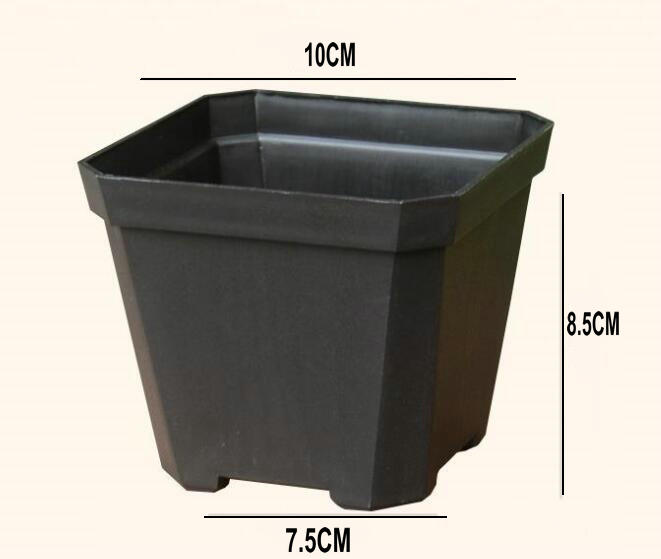 Negro 10cm