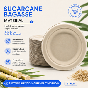 Assiette ronde jetable de 6 pouces en bagasse de canne à sucre compostable, biodégradable, écologique et compatible micro-ondes - Product Image 3