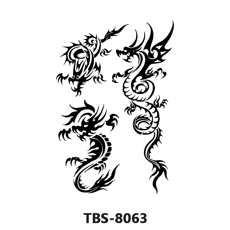 TBS-8063 type