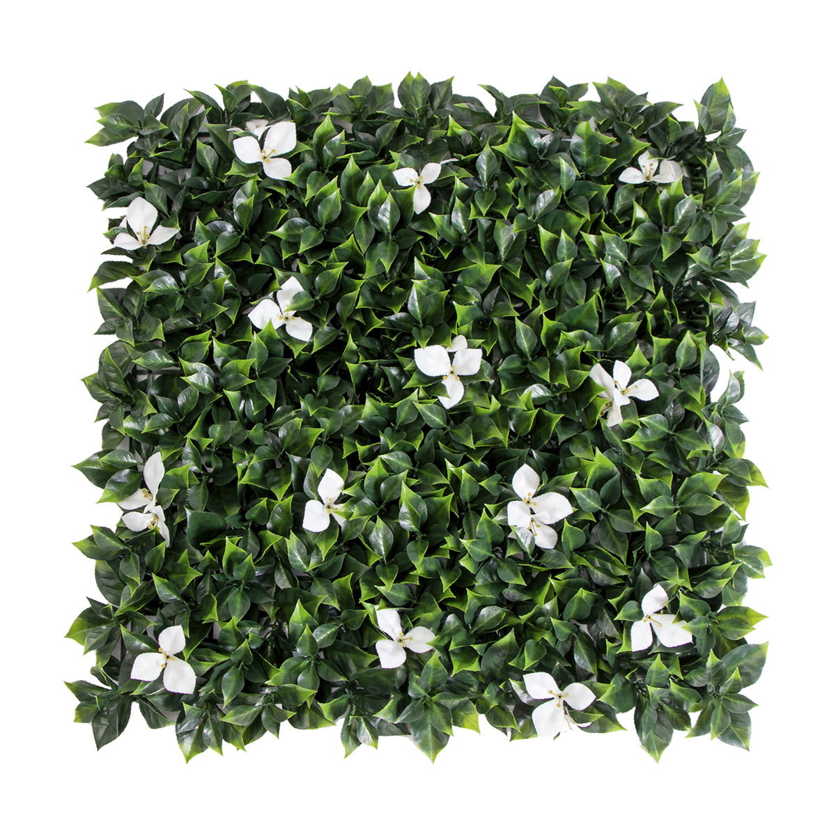 P201-4&nbsp;:&nbsp;la puce de la médaille