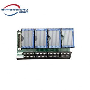 โมดูลอินพุตแบบแยกส่วน Foxboro FBM217 P0914TR รุ่นดั้งเดิม สามารถตั้งค่าสำรองได้ สำหรับระบบอัตโนมัติทางอุตสาหกรรม - Product Image 3