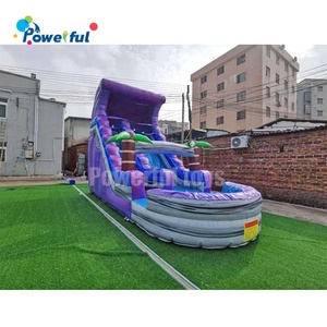 Tobogán Acuático Inflable Comercial con Forma de Palmera, Tobogán Inflable con Piscina - Product Image 6