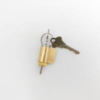 Cylindre de serrure à mortaise haute sécurité en laiton, personnalisé en usine, avec clés en acier pour armoire de commande, vente en gros