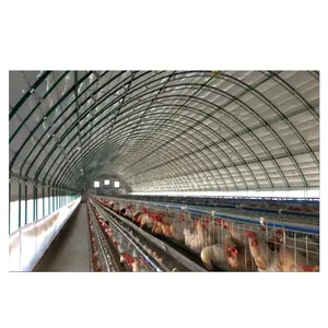 China supplier light steel chicken coop sheds modern poultry farm house designs chicken egg farming sheds for sale