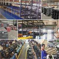 Máquina de Corte de Tubos Capilares de Vidrio por Corte en Seco de Alta Precisión con Control PLC Totalmente Automático para la Producción de Cuentas de Semillas