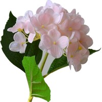 Arrangements floraux artificiels miniatures d'hortensias doux au toucher et hydratants pour centres de table, restaurants et maisons modèle