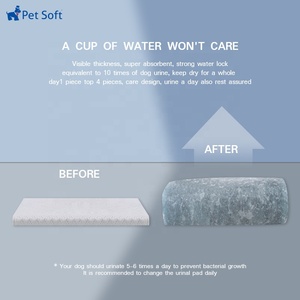 Pet Soft Carbon Bamboo Charcoal Disposable Pet <strong>Dog</strong> <strong>Pee</strong> <strong>Pad</strong> <strong>for</strong> Potty Urine Training S M L - Product Image 6