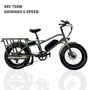 Achterwiel 48V 750W Cargo Bike Bicicletas De Ruta Bicicleta Eletrica De Carretera Cargo Ebike Elektrische Cycli Voor Mannen