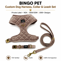 Ensemble laisse et collier pour chien en velours brodé personnalisé, réglable, en alliage et nylon, marque personnalisée pour petits chiens, promenade et dressage