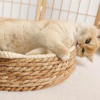 Griffoir et Lit pour Chat en Sisal - Lit pour Chat Grand et Durable, Écologique, Non Irritant, Adapté à Toutes les Saisons