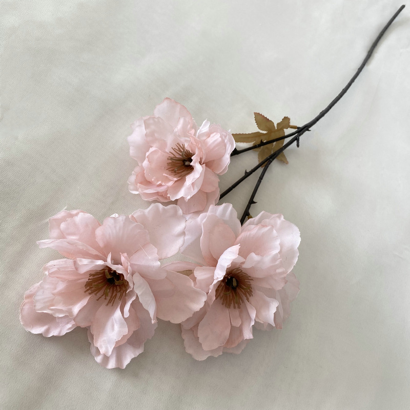 Illustration de pivoine à 3 têtes