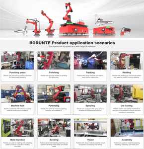 BRTIRUS0707A Borunte Brazo Robótico Industrial con Alcance de 700 mm, Capacidad de Carga de 7 kg, Motor PLC, IP54, Multivoltaje, Alta Precisión, 1 Año de Garantía - Product Image 6