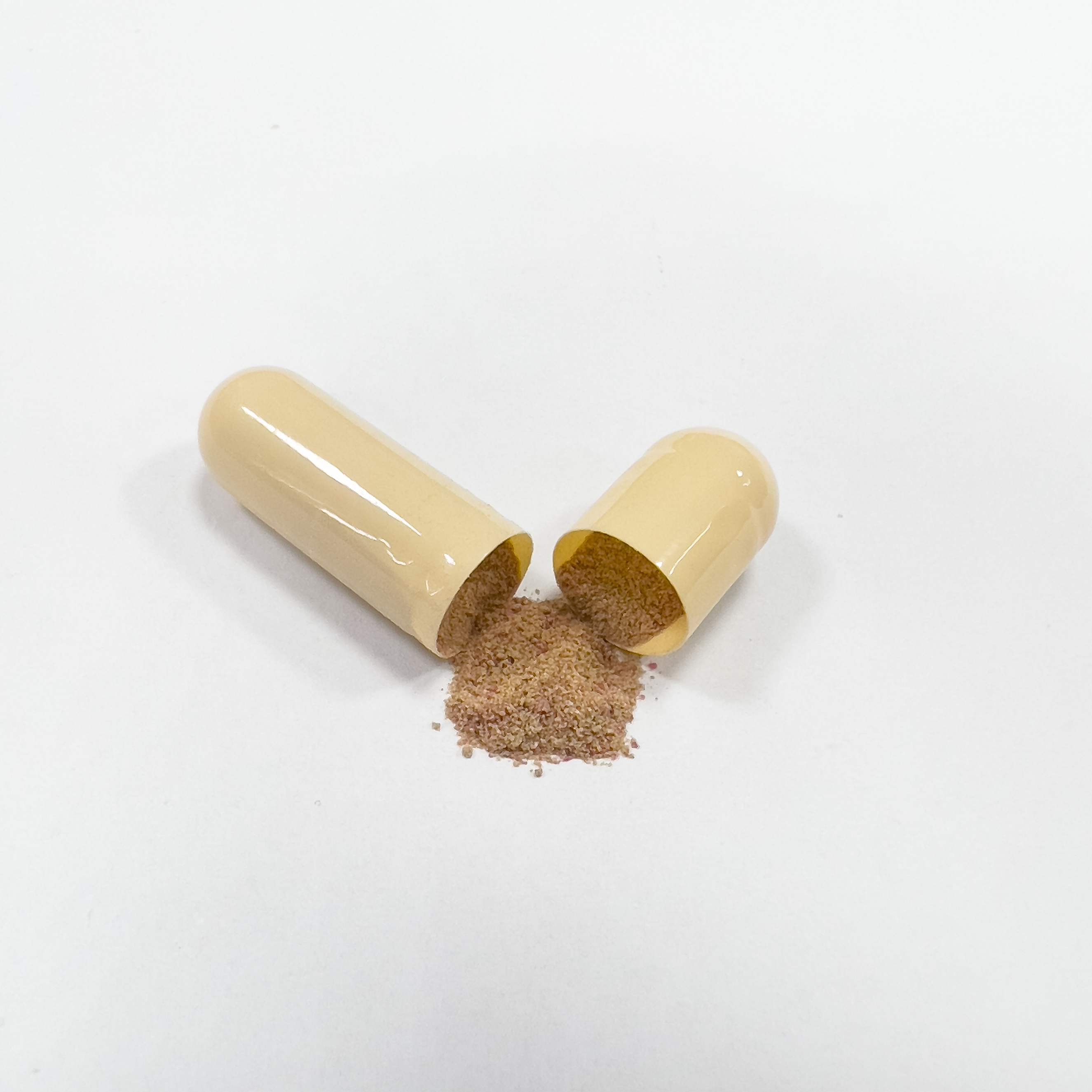 infection supplement