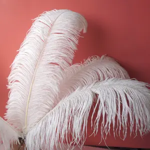 White Ostrich Wing Feathers 23"-28" Full Wing Many Colors Large Ostrich Feather Plumes