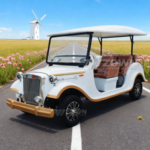 Voiture de tourisme électrique classique vintage à faible bruit, 6 places, pour les centres de villégiature, les campus, les sites touristiques - Product Image 6