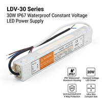 Alimentation LED étanche IP67 LEYU LDV-30-24 30W 24V 1.25A, convertisseur AC/DC ultra-plat à sortie unique pour extérieur