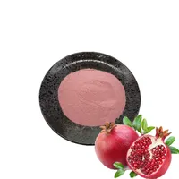 Wholesale supply food grade 100% natural red pomegranate juice powder pomegranate fruit powder