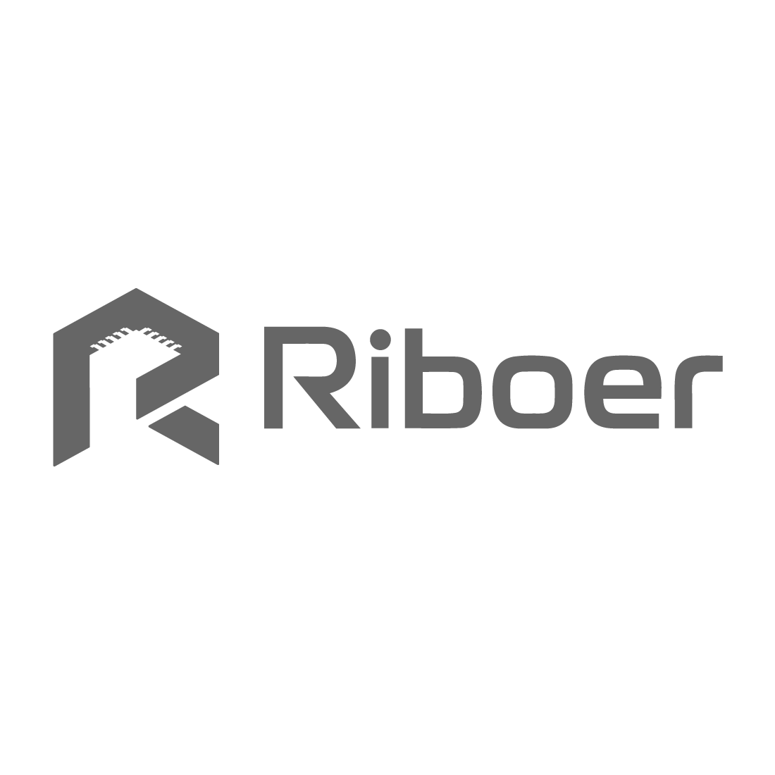 Shenzhen Riboer Electronic Technology Co., Ltd. logo