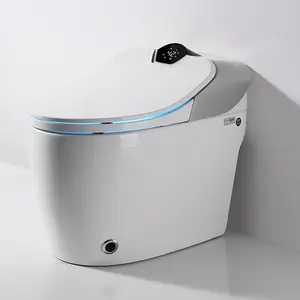 Sanitary Ware Products Western Models Intelligent Toilet With Price