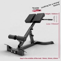 Chaise romaine pliable et réglable multifonctionnelle en métal pour haltères, banc de musculation pour les jambes et le dos, équipement de fitness