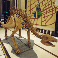 Réplica de Esqueleto de Dinosaurio de Metal a Tamaño Real para Parques de Aventuras y Centros Comerciales