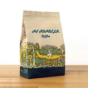 Paquete de papel Biodegradable para embalaje de alimentos, bolsa de embalaje Biodegradable con cremallera de fondo plano para café, té, 500g