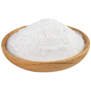 Wholesale Price CAS 9012-76-4 Food Grade Chitosan DAC 95% Natural Chitosan Powder