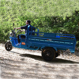 OEM kargo sepeda roda tiga listrik, poros belakang ganda tugas berat tiga roda listrik sepeda - Product Image 3