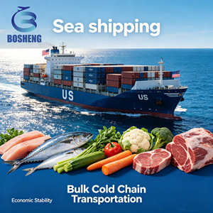 Ligne dédiée de transport maritime réfrigéré pour aliments surgelés frais, service logistique DDP Chine, agent maritime et transitaire pour les États-Unis - Product Image 1