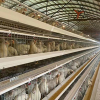 Nouvelle cage à poules pondeuses automatique à étages, style échelle, multi-niveaux, construction en acier galvanisé et alliage d'aluminium, garantie 2 ans