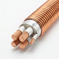 Kabel Tembaga Inti 4+1 Berisolasi Mineral Tahan Api Standar IEC 0.6/1kV untuk Daya Bangunan