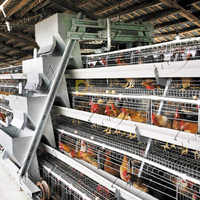 Nouvelle cage à poules pondeuses multifonctionnelle en acier galvanisé à chaud de type A avec garantie de 5 ans