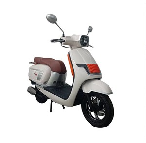 Jialing Motor 2025 nuevo adulto combustible motocicleta combustible bicicleta Motor moda combustible bicicleta - Product Image 4