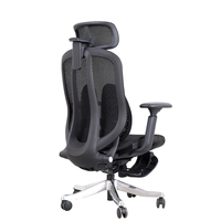 Nouveau design de chaise de bureau d'ordinateur chaises de jeu pivotantes de style ergonomique pour le bureau et le mobilier de maison