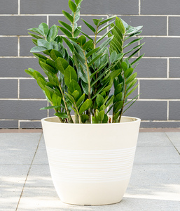 Grandes jardinières d'intérieur légères et durables pour l'extérieur Grandes jardinières imperméables à l'eau Grandes jardinières pour pots de fleurs - Product Image 2