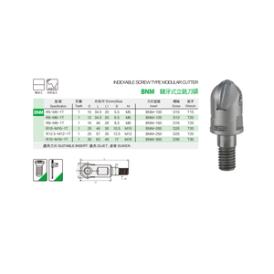 Utensile Modulare a Vite Indicizzabile <span class=keywords><strong>BNM</strong></span>, Strumenti e Accessori per Macchine CNC - Product Image 3