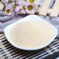 Liansheng grosir bubuk bawang putih bumbu sayuran kering Cina
