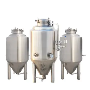 Uni de fermentation pour bière, 200l, 300l, en acier inoxydable