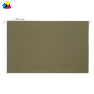 Bán Buôn Sản Phẩm Văn Phòng Phẩm Kích Thước Pháp Lý 1/3 Cắt Tab Điều Chỉnh Tiêu Chuẩn Thư Mục Tệp Treo Màu Xanh Lá Cây - Product Image 5