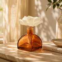 Bouteille vide en verre de 100 ml, 50 ml, 250 ml pour diffuseur d'arômes sans flamme avec bouchon à vis pour voiture et maison, recharge d'huiles essentielles