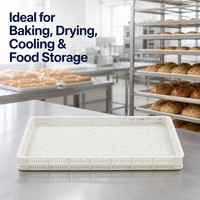 Plateau de congélation IQF en plastique HDPE de qualité alimentaire certifié CE RoHS, empilable, perforé, écologique, pour fruits de mer, viande, fruits et produits surgelés