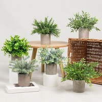 Plante d'eucalyptus Offre Spéciale en pot décoration de la maison plante artificielle bonsaï